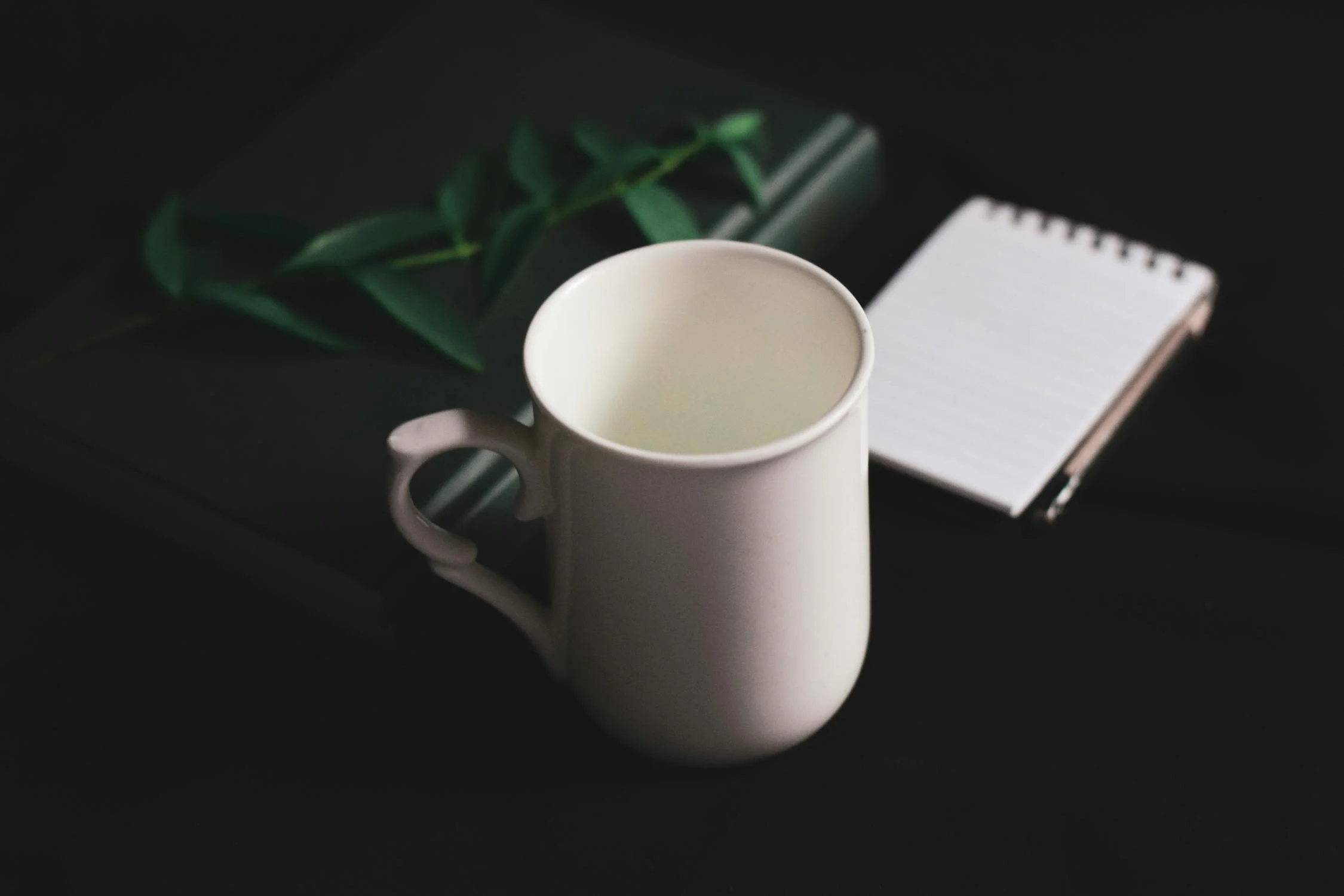 blog-main-1