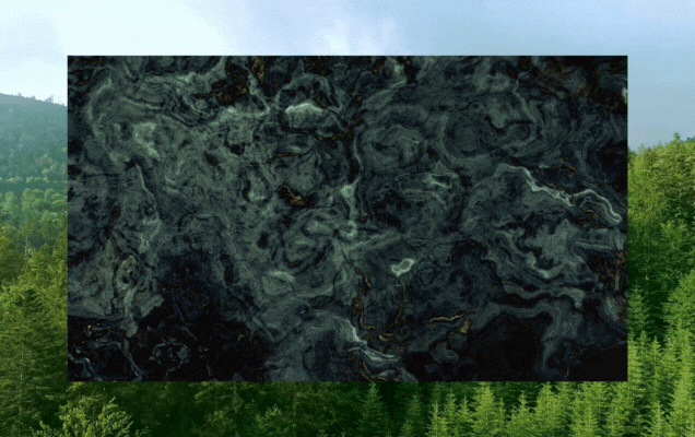 content-image-6